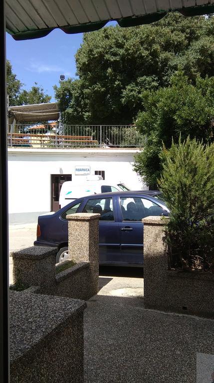 Apartment Filip เวอร์บนิค ภายนอก รูปภาพ